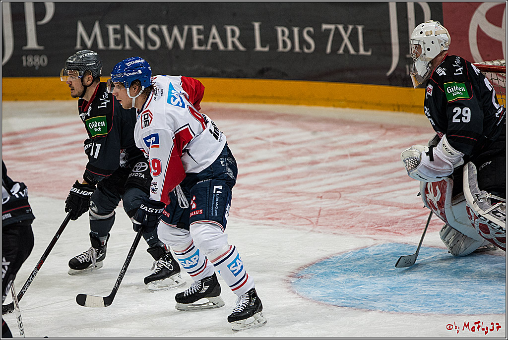 DEL, Koelner Haie - Adler Mannheim, 05.02.2017